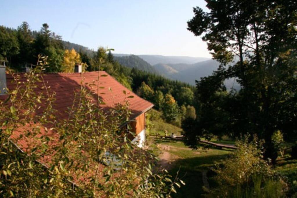 Appartement Dans Vielle Ferme Au Coeur Des Vosges Plainfaing Extérieur photo