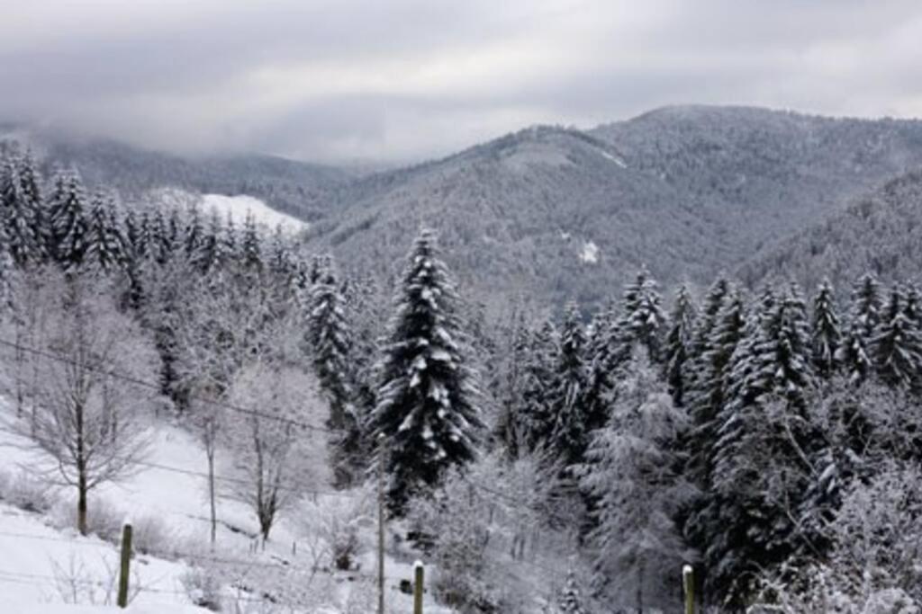 Appartement Dans Vielle Ferme Au Coeur Des Vosges Plainfaing Extérieur photo