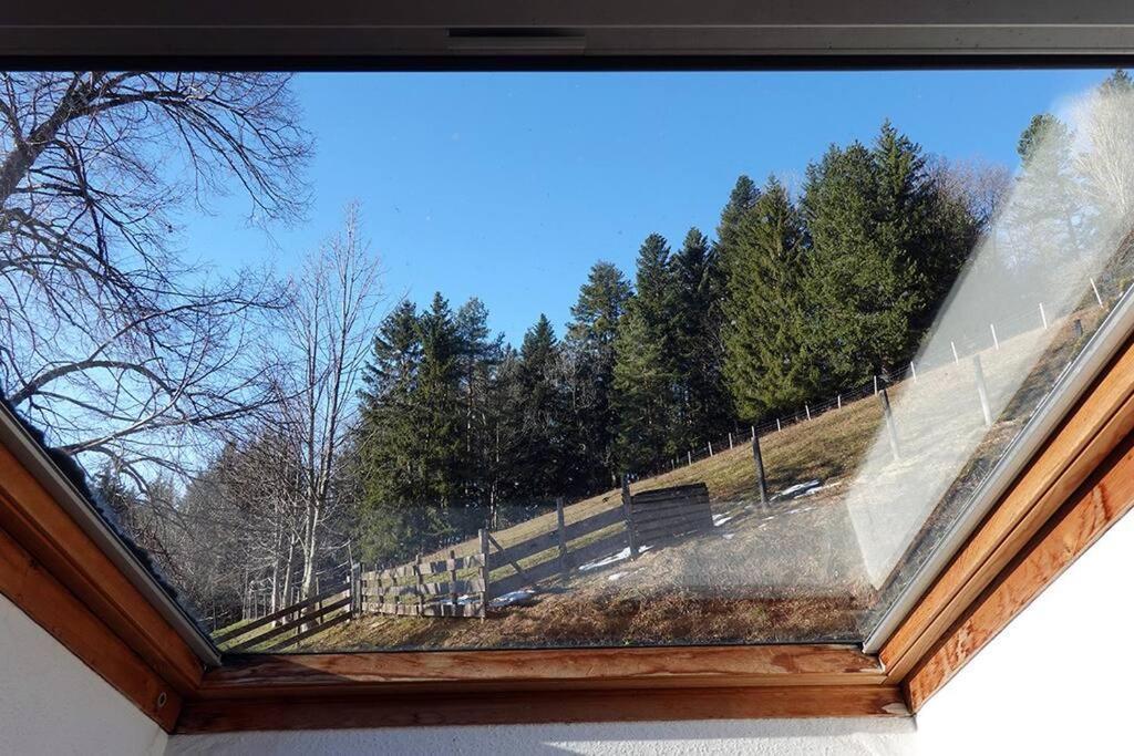 Appartement Dans Vielle Ferme Au Coeur Des Vosges Plainfaing Extérieur photo