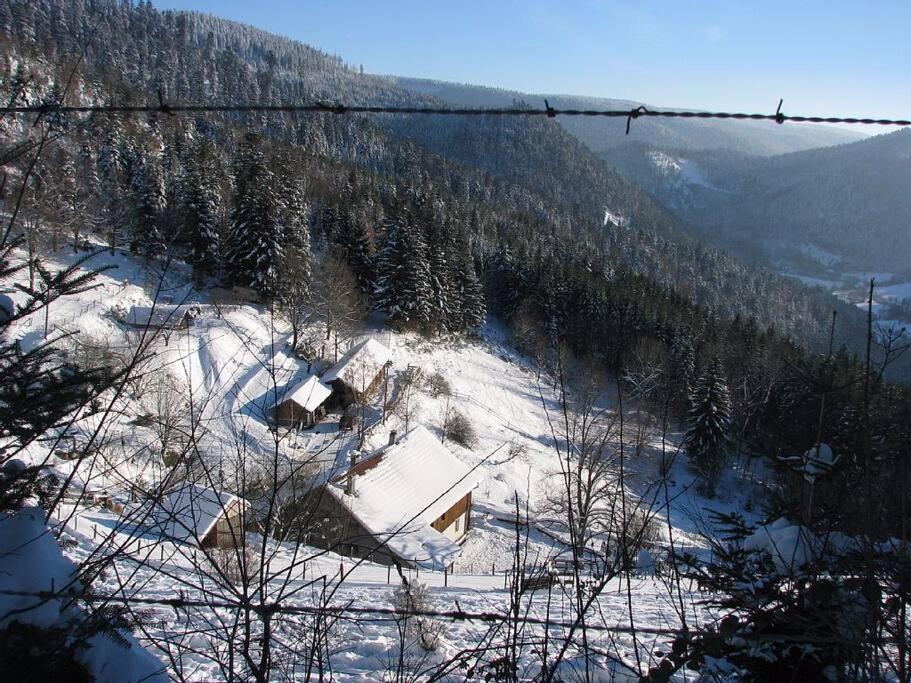 Appartement Dans Vielle Ferme Au Coeur Des Vosges Plainfaing Extérieur photo