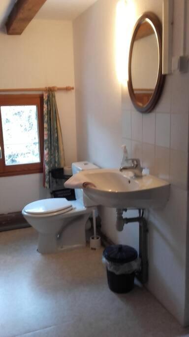 Appartement Dans Vielle Ferme Au Coeur Des Vosges Plainfaing Extérieur photo