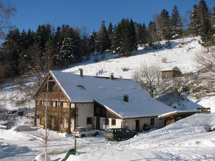 Appartement Dans Vielle Ferme Au Coeur Des Vosges Plainfaing Extérieur photo